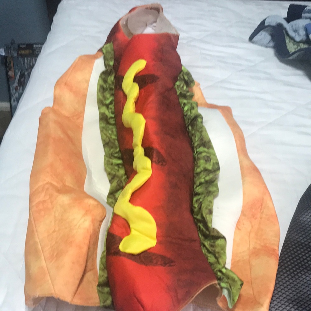 Youth Halloween Costume medium 10-12